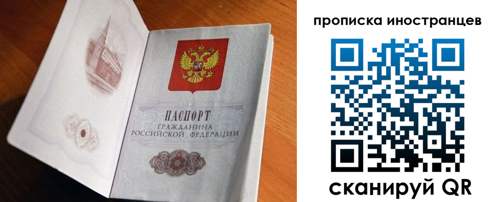 прописка 2025 в Мончегорске